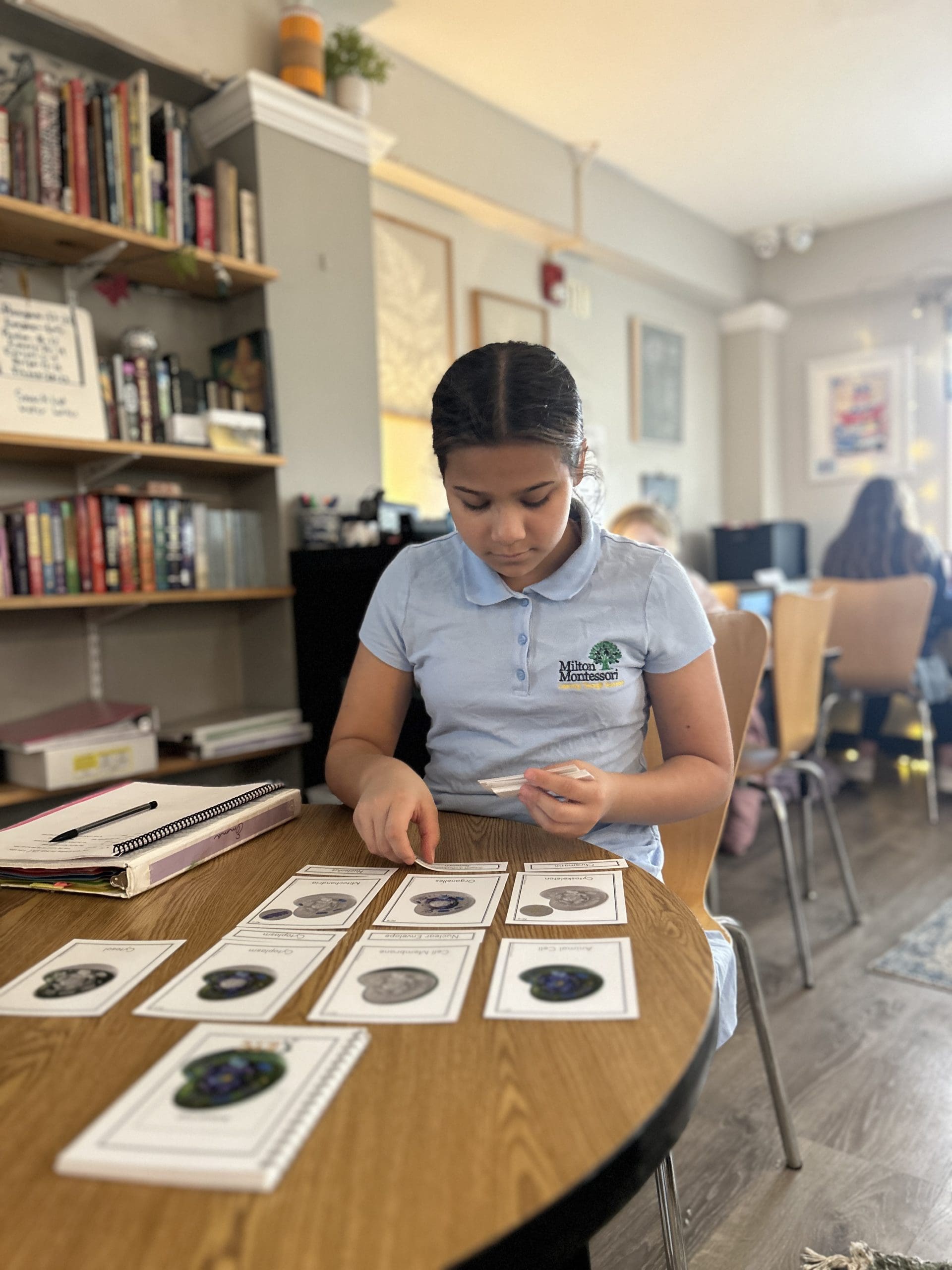 Middle School | Science & Environmental Studies