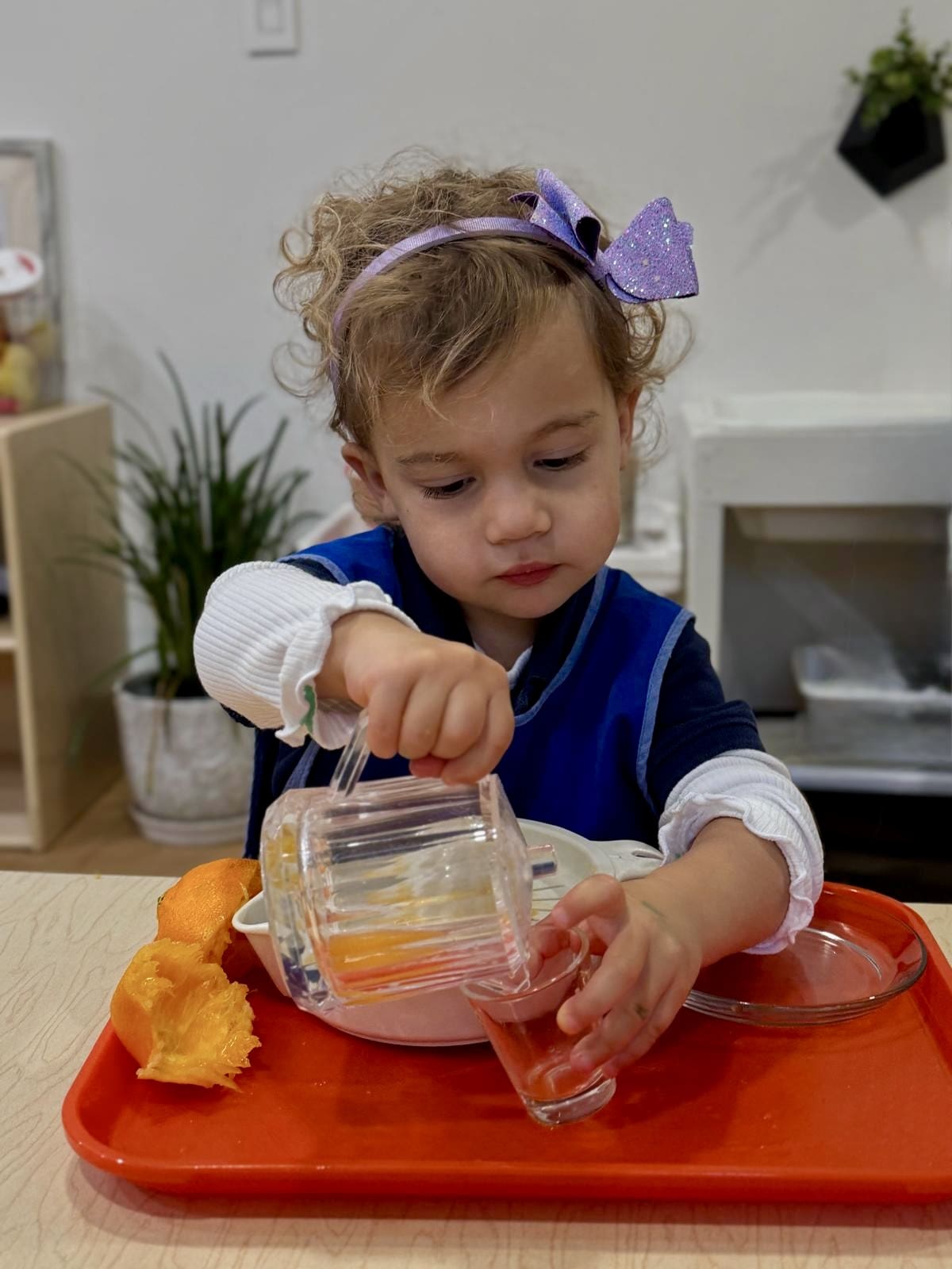 Toddler | Practical Life