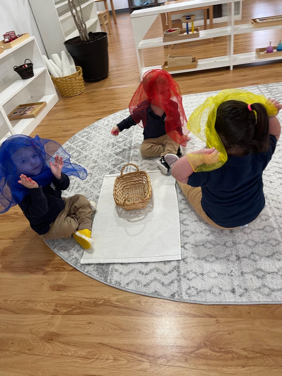 Toddler | Social Emotional Skills
