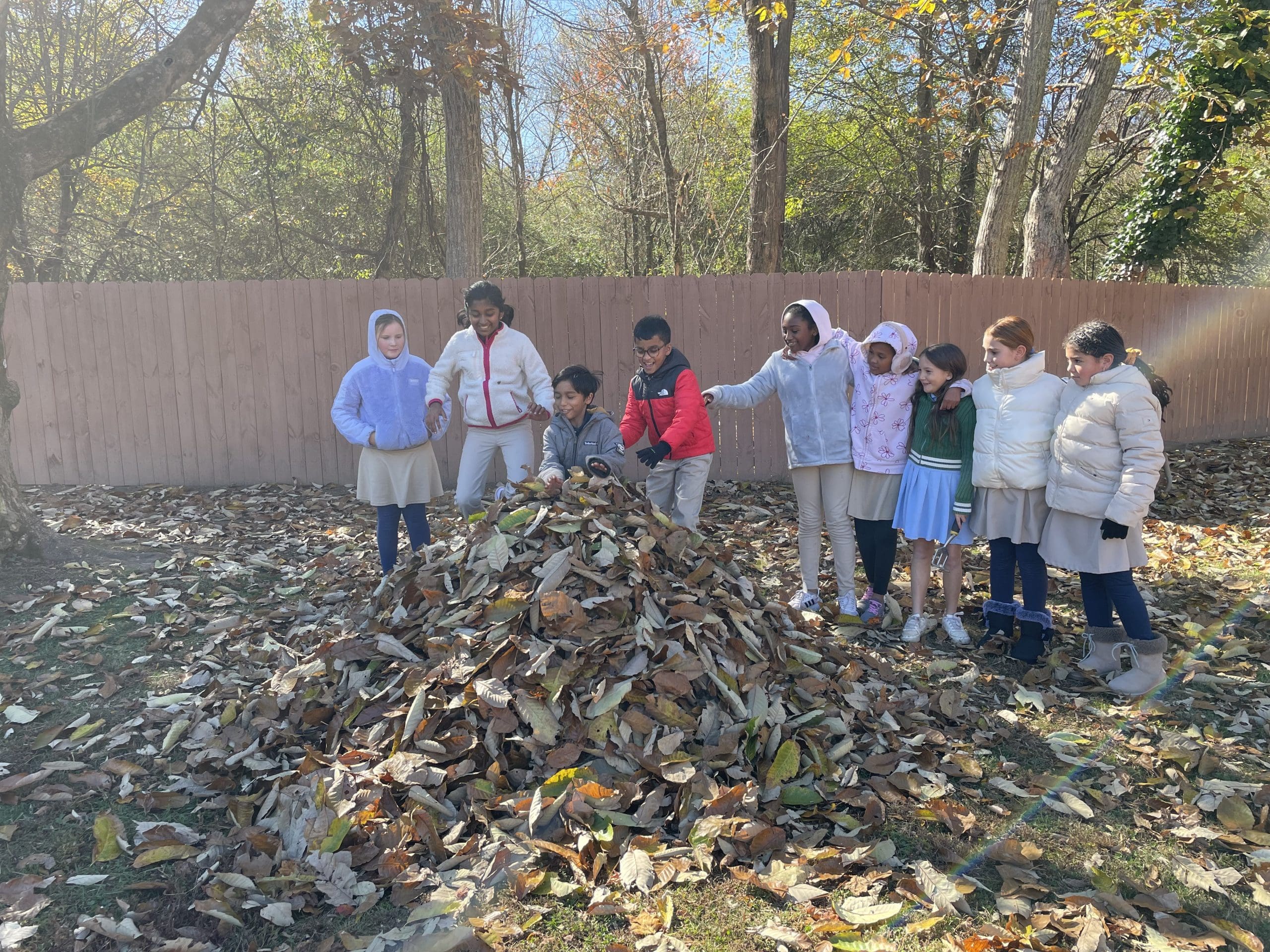 Upper Elementary | Social Emotional Skills